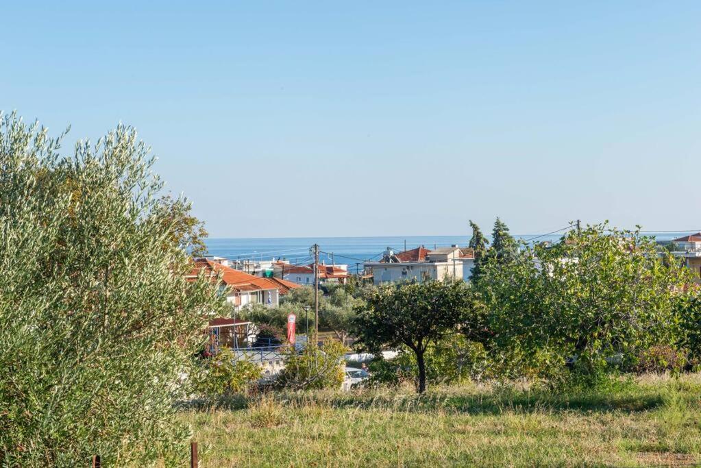 Όμορφο Παραθασυγκρότημα Ενοικιαζόμενων Καταλυμάτων Ως Ολόκληρος Χώρος - Chrani, Ελλάδαλάσσιο Διαμέρισμα מראה חיצוני תמונה